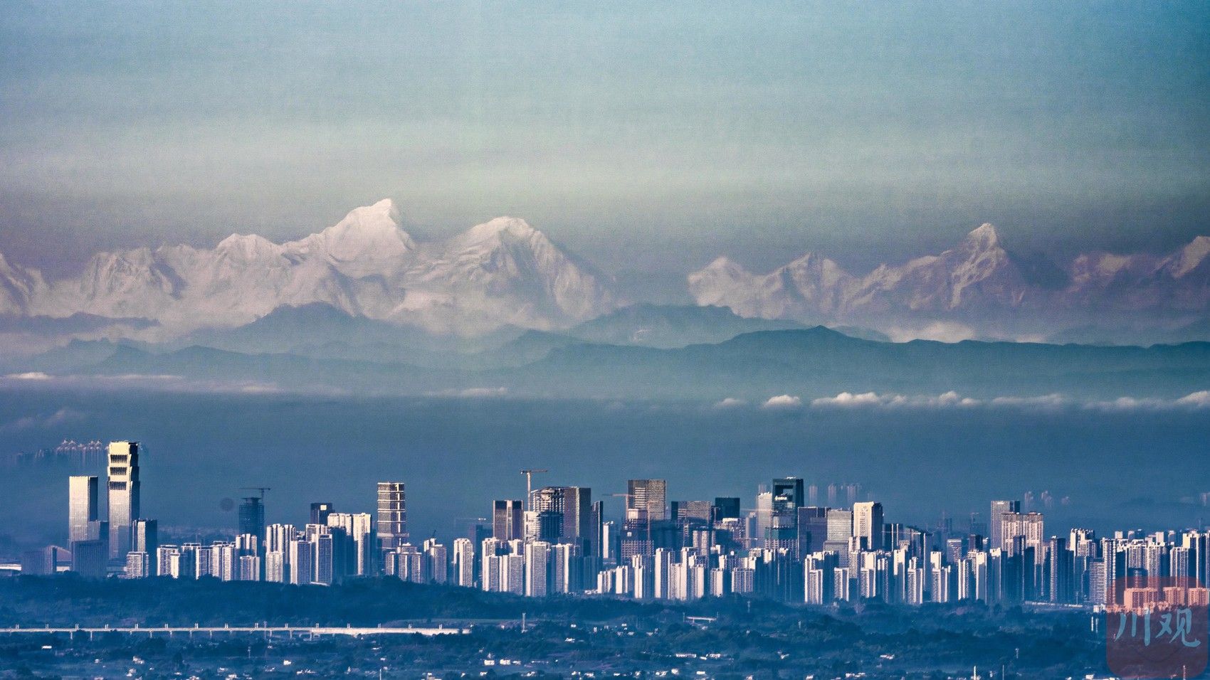 从成都走向全国：成都蓉媒集团如何构建品牌增长新生态？